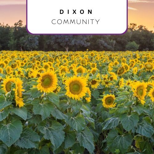 community page features demographics, events, happenings, school reports, mortgage infomration and homes for sale in Dixon, CA